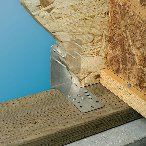 洋書 A Double Singleness 洋書 A Double Singleness A Double Singleness